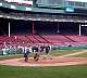 franz_at_plate_080599-1.jpg