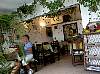 pv_papaya3_112802-1.jpg