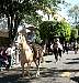 parade_tla_112502-3.jpg