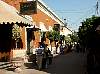 tla_112502-9.jpg