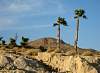 scene_from_beach_021808-1.JPG